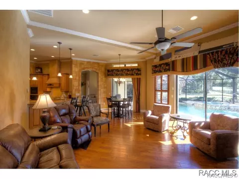 1428 N Ridge Meadow Path, Hernando, FL 34442 photo 4