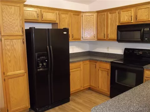 1580 E Bismark St, Hernando, FL 34442 photo 6