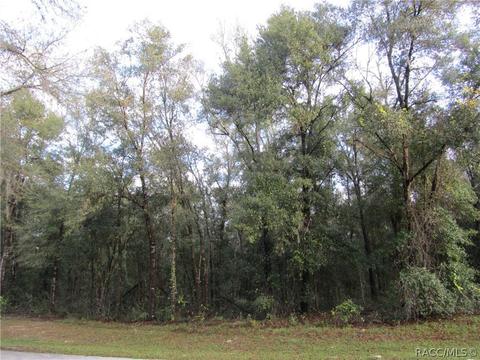 3557 N Tyrone Ave, Hernando, FL 34442 photo 1