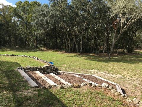 1429 E Bismark St, Hernando, FL 34442 photo 4