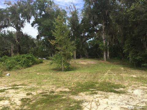 1325 E Norvell Bryant Hwy, Hernando, FL 34442 photo 8