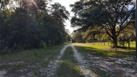 96 E Brandon St, Hernando, FL 34442 photo 3