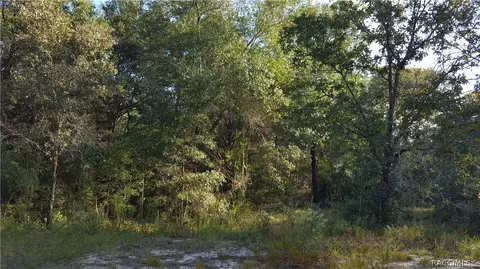 96 E Brandon St, Hernando, FL 34442 photo 1