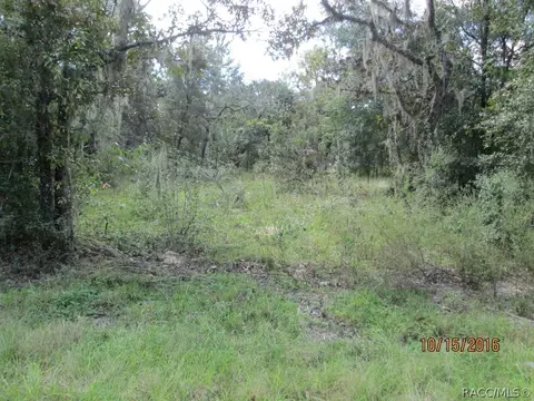 1666 E Sheridan Ln, Hernando, FL 34442 photo 1