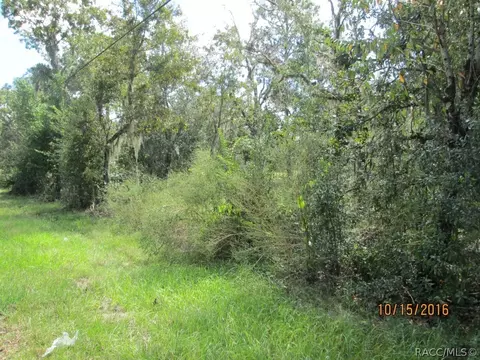 1666 E Sheridan Ln, Hernando, FL 34442 photo 2