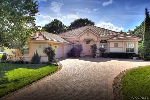 1646 N Dimaggio Path, Hernando, FL 34442 photo 29