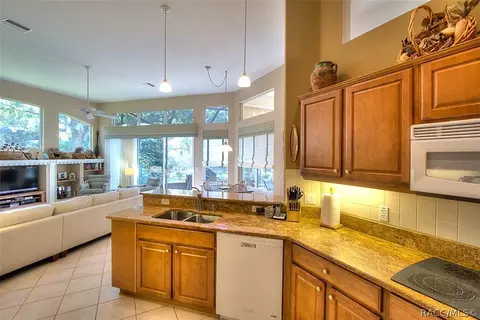 1646 N Dimaggio Path, Hernando, FL 34442 photo 12