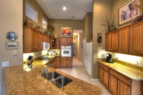 1646 N Dimaggio Path, Hernando, FL 34442 photo 11