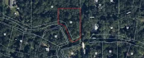 6448 E River Rd, Hernando, FL 34442 photo 2