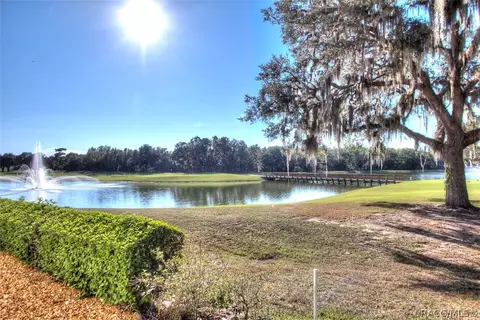 1911 N Eagle Chase Dr, Hernando, FL 34442 photo 23
