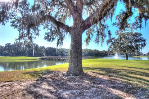 1911 N Eagle Chase Dr, Hernando, FL 34442 photo 24