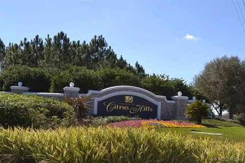 1323 W Skyview Crossing Dr, Hernando, FL 34442 photo 31