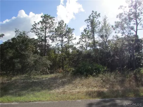 1778 Ridgefield Dr, Hernando, FL 34442 photo 1