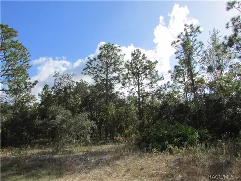 1778 Ridgefield Dr, Hernando, FL 34442 photo 2