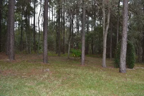 1125 W Tacoma St, Hernando, FL 34442 photo 33
