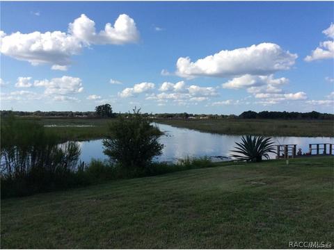9239 E Beech Cir, Inverness, FL 34450 photo 13
