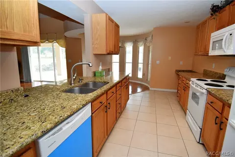 164 E Samuel Ct, Hernando, FL 34442 photo 4