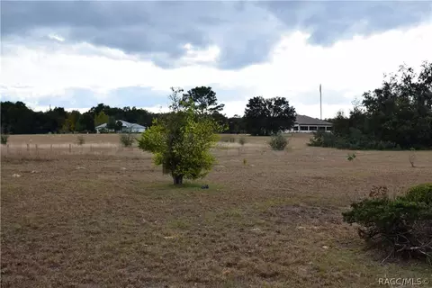 164 E Samuel Ct, Hernando, FL 34442 photo 24