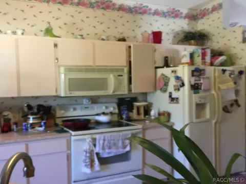 1088 S Softwind Loop, Lecanto, FL 34461 photo 5