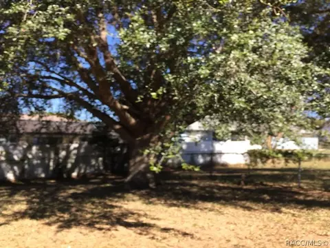 1088 S Softwind Loop, Lecanto, FL 34461 photo 17