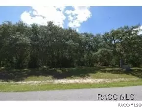 4491 N Pine Valley Loop, Lecanto, FL 34461 photo 1