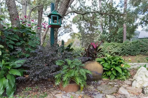 3544 N Pine Valley Loop, Lecanto, FL 34461 photo 36