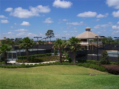 954 W Silver Meadow Loop, Hernando, FL 34442 photo 31