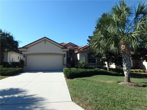 954 W Silver Meadow Loop, Hernando, FL 34442 photo 1