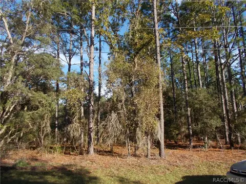 1721 W Pearson St, Hernando, FL 34442 photo 3