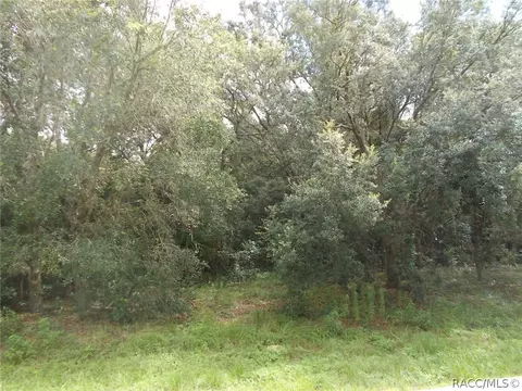 1440 W Tacoma St, Hernando, FL 34442 photo 1