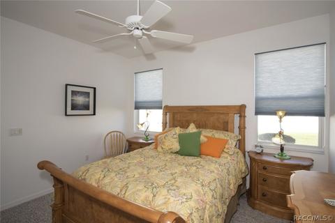 383 W Mickey Mantle Path, Hernando, FL 34442 photo 46