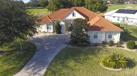 383 W Mickey Mantle Path, Hernando, FL 34442 photo 1