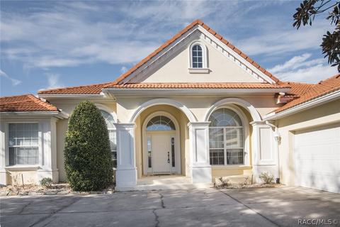 383 W Mickey Mantle Path, Hernando, FL 34442 photo 14