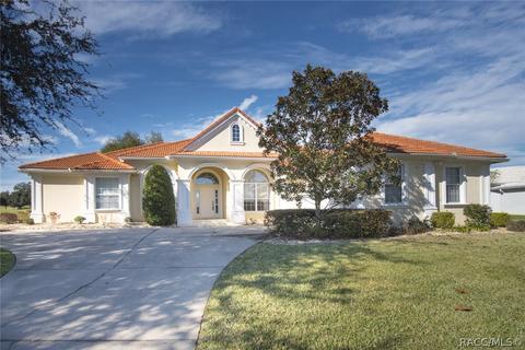 383 W Mickey Mantle Path, Hernando, FL 34442 photo 9