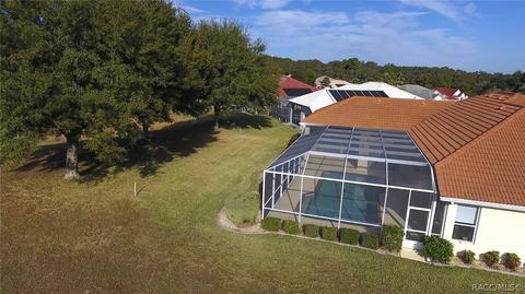 383 W Mickey Mantle Path, Hernando, FL 34442 photo 7