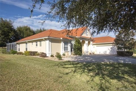 383 W Mickey Mantle Path, Hernando, FL 34442 photo 13