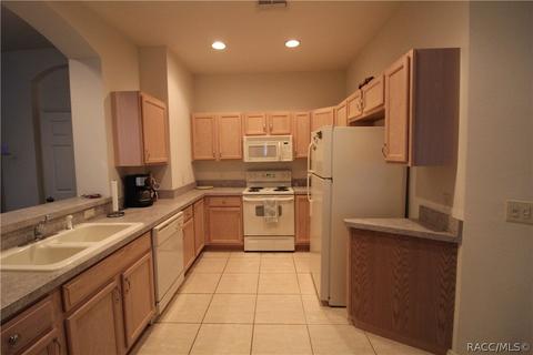 1699 W Spring Meadow Loop, Lecanto, FL 34461 photo 11