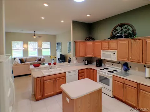 103 E Joplin Ct, Hernando, FL 34442 photo 2