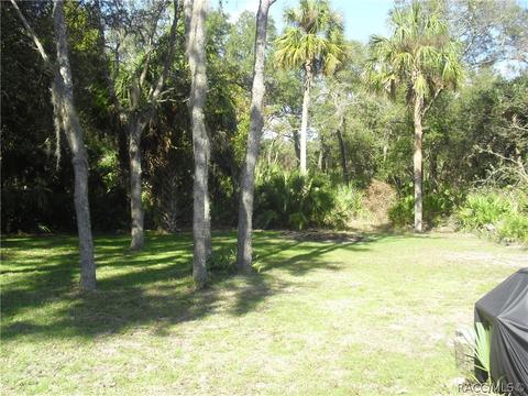 15019 Rooster Crows Rd, Inglis, FL 34449 photo 8