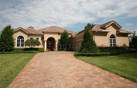 1672 N Eagle Ridge Path, Hernando, FL 34442 photo 1