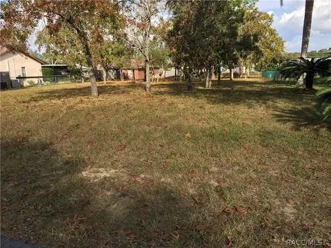 4442 Dior Rd, Spring Hill, FL 34609 photo 5