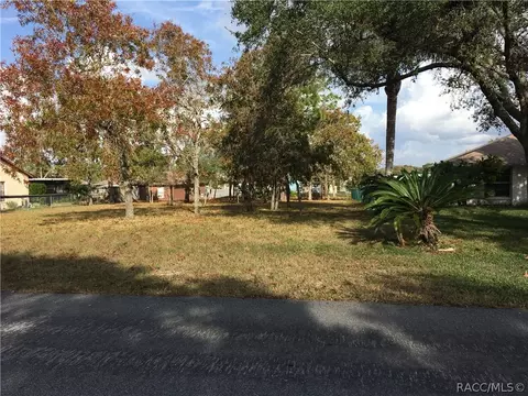 4442 Dior Rd, Spring Hill, FL 34609 photo 6
