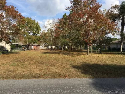 4442 Dior Rd, Spring Hill, FL 34609 photo 3