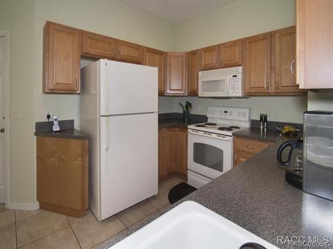 1614 W Spring Meadow Loop, Lecanto, FL 34461 photo 15