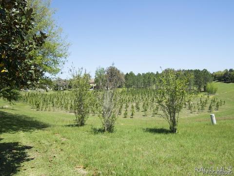 1614 W Spring Meadow Loop, Lecanto, FL 34461 photo 5