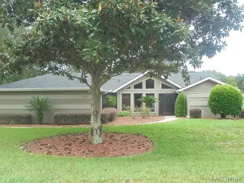277 E Joplin Ct, Hernando, FL 34442 photo 1