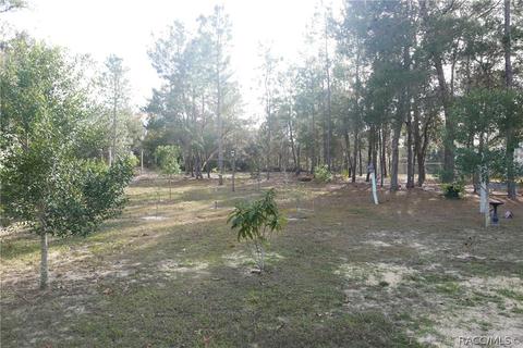 1670 E Cleveland St, Hernando, FL 34442 photo 17