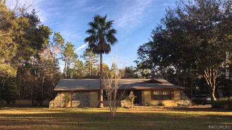 4393 N Indianhead Rd, Hernando, FL 34442 photo 45