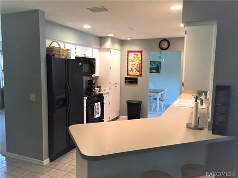 4393 N Indianhead Rd, Hernando, FL 34442 photo 11