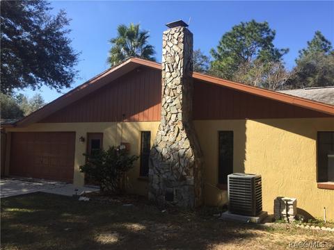 4393 N Indianhead Rd, Hernando, FL 34442 photo 43